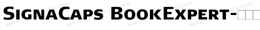 SignaCaps BookExpert字体转换
